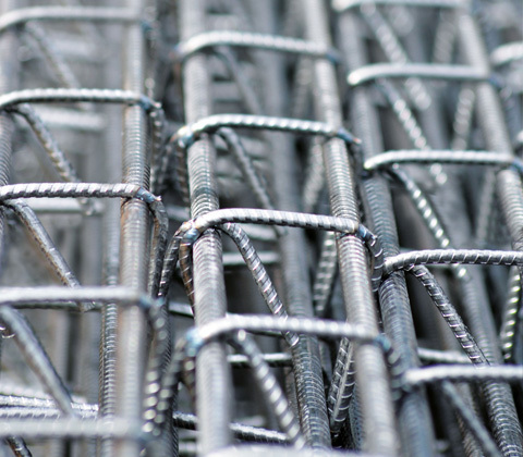 Fimurex_Armature