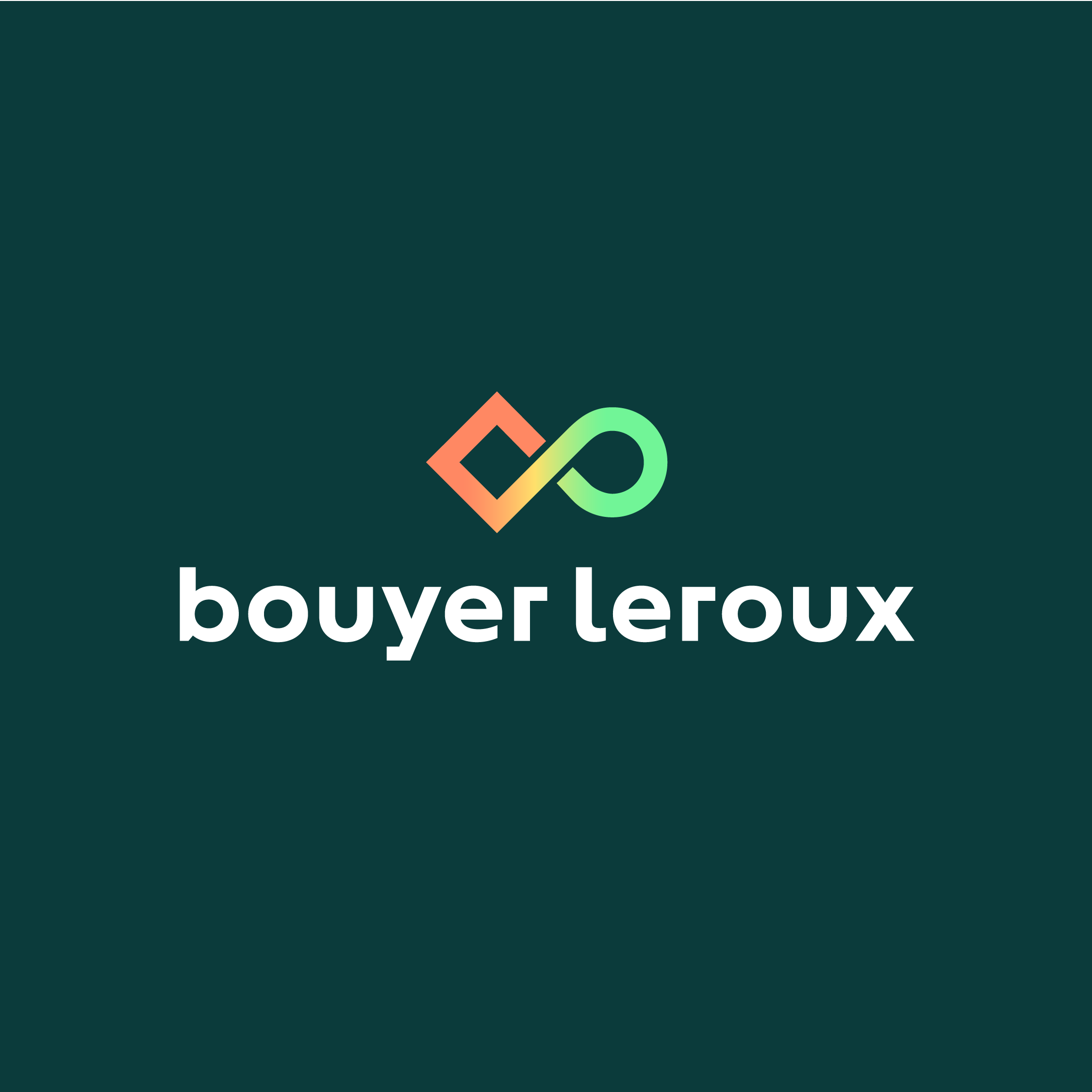 Logo_Bouyer-Leroux_aplat-vert_2026