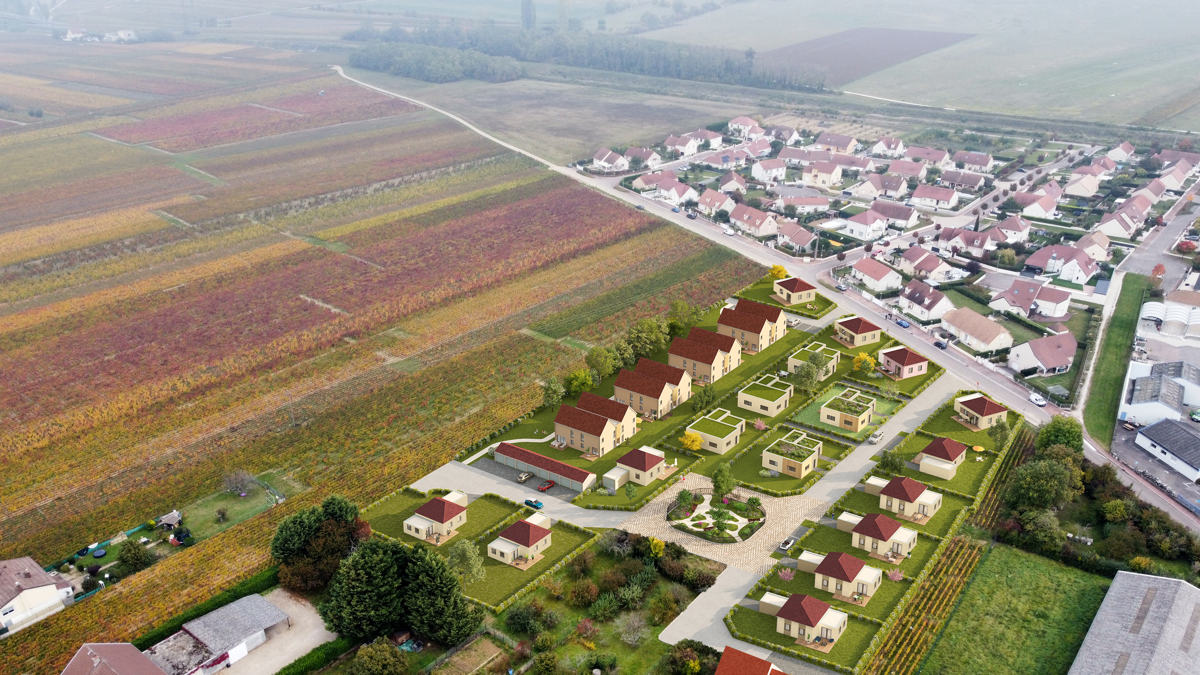 Réalisation de Terre & Développement