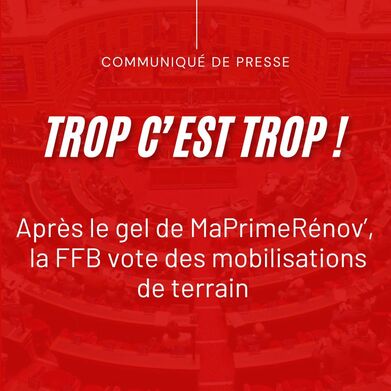 CP FFB Mobilisation