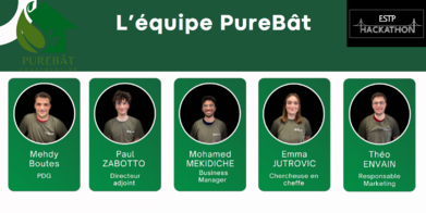 PureBat