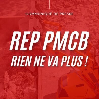 REP PMCB